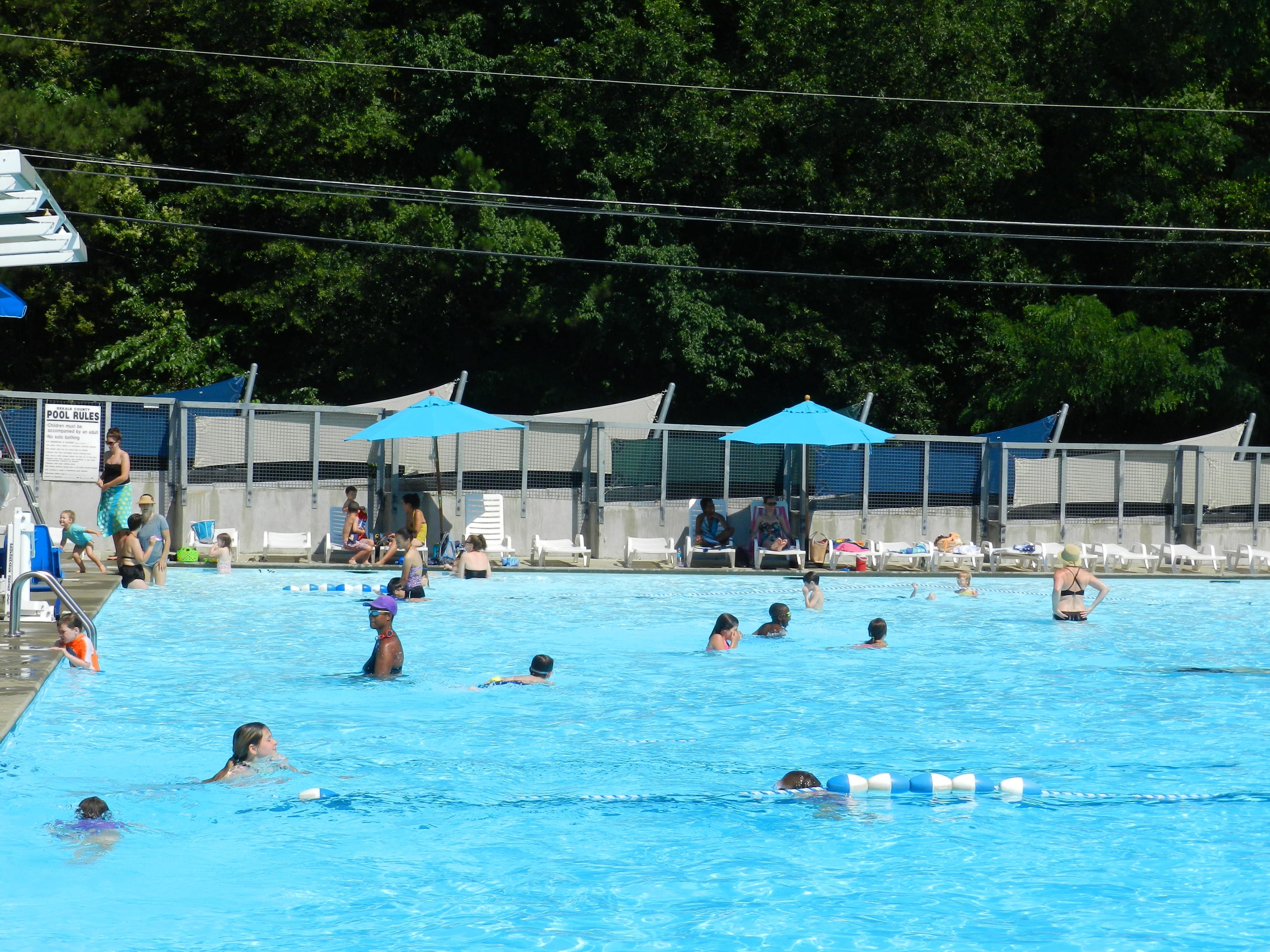 The Pool Turtle Decatur Glenlake Pool Opens Later Today | Decatur Parks & Recreation
